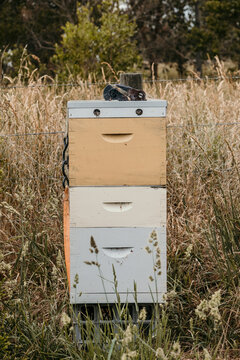 Bee hive boxes