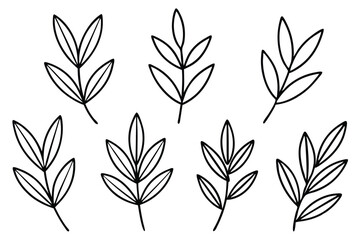 Olive Leaf Line Art Creative Design for Botanical Illustration 
