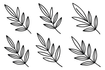 Olive Leaf Line Art Creative Design for Botanical Illustration  