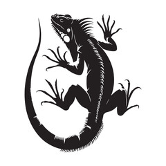 Graceful Iguana silhouette, basking in the sun’s warmth – Iguana illustration – Minimalist Iguana vector – Lizard silhouette


