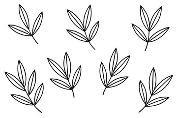 Olive Leaf Line Art Detailed Drawing for Elegant Artwork  
