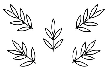 Olive Leaf Line Art Simple Sketch for Beautiful Illustration  