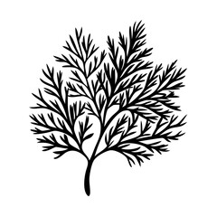 dill icon, dill line art - simple line art of dill, perfect for dill logos and icons