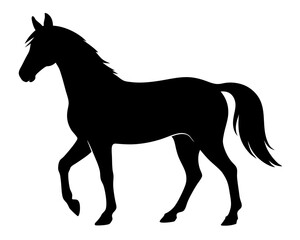 Obraz premium Morgan Horse Silhouette Vector & Elegant Equestrian SVG Design