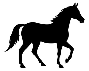 Morgan Horse Silhouette Vector & Elegant Equestrian SVG Design
