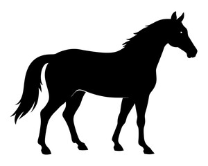 Morgan Horse Silhouette Vector & Elegant Equestrian SVG Design