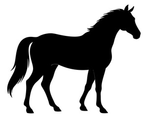 Morgan Horse Silhouette Vector & Elegant Equestrian SVG Design