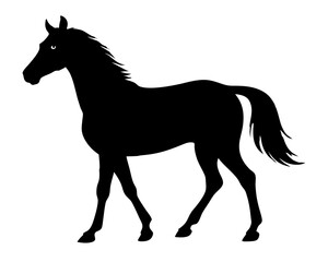 Obraz premium Morgan Horse Silhouette Vector & Elegant Equestrian SVG Design