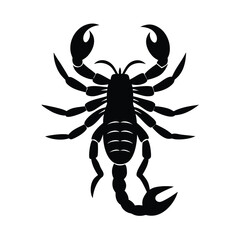 scorpion silhouette vector