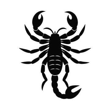 recommend clip art: scorpion silhouette vector