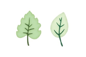 Artistic leaf illustrations nature scene graphic design minimalist style close-up view botanical concept