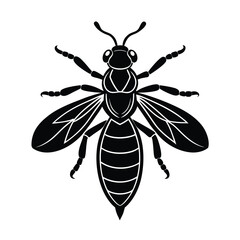 vector illustration of a wasp