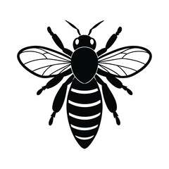 silhouette of wasp 