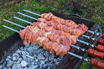Shashlyck or shashlik is a dish of skewered and grilled cubes of meat, which are roasted on hot coals and metal skewers. Cooking on Mangal (grill)