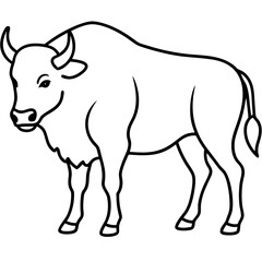 Elegant Bison Vector in Single Line