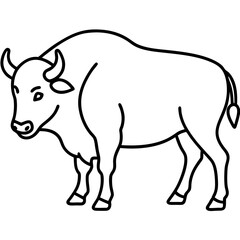 Elegant Bison Vector in Single Line