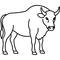 Elegant Bison Vector in Single Line