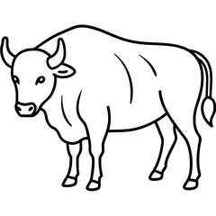Elegant Bison Vector in Single Line
