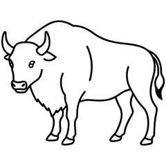 Elegant Bison Vector in Single Line