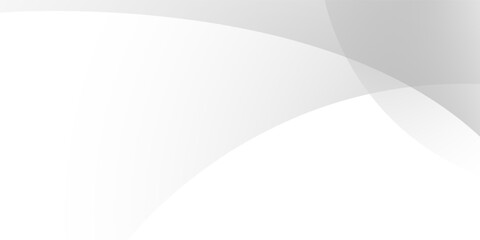 Abstract minimalist white and gray curve modern background. texture white pattern. vector illustration