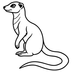 Elegant Meerkat Line Art