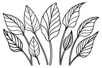 Lily Leaf Line Art Decorative Sketch for Creative Design Projects  