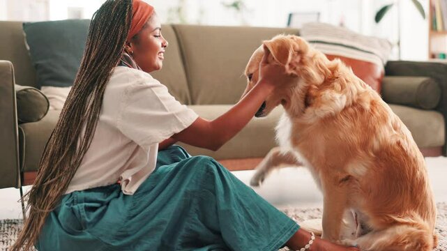 Teaching, paw and woman with dog at home for pet training, animal adoption and canine loyalty. Love, bonding and golden retriever with person in living room of house for puppy food, relax and treat