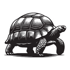 Mighty Sulcata Tortoise silhouette, embodying resilience and endurance – Sulcata Tortoise illustration – Sulcata Tortoise vector – Reptile silhouette

