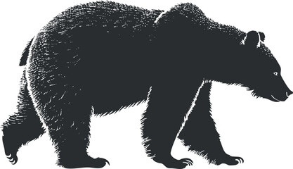 Black silhouette of a walking bear, showcasing its profile and powerful presence in nature.