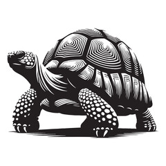 Proud Sulcata Tortoise silhouette, showcasing its strong shell – Sulcata Tortoise illustration – Sulcata Tortoise vector – Reptile silhouette

