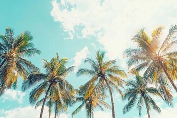 Tropical Palm bottom view as Nature pattern, Coconut Palm trees view from below with turquoise sky background, summer vibe banner, aesthetic nature atmospheric scenery, vivid colors, natural sunlight