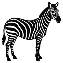 Zebra vector
