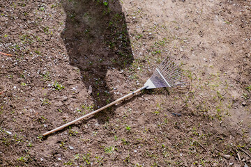 Fan rakes on the ground under bright sunlight and the shadow of a person. The tool, left on the...