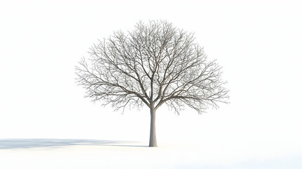 Fototapeta premium tree drawing easy illustration