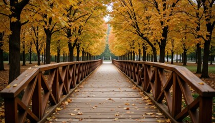 Obraz premium Wooden bridge captured at eye level with trees arching over, creating a tunnel of autumn