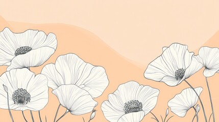 Delicate white poppies on soft peach background
