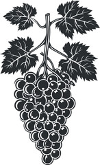 Obraz premium Black and white illustration of a grape bunch with leaves, depicting a classic vineyard motif.