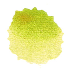 A watercolor splash in shades of green, resembling a natural element or abstract art.