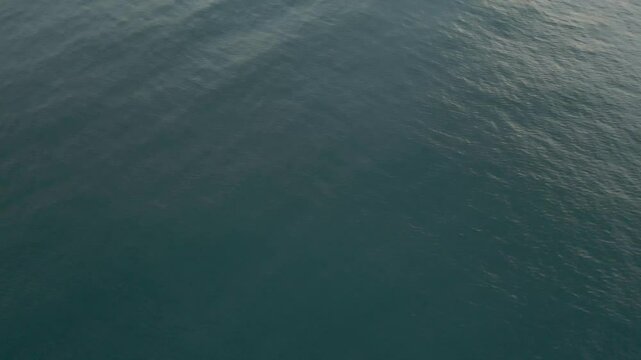 From blue ocean waters to the beach of Agonda, Goa