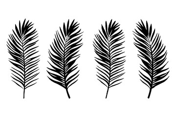 Fototapeta premium palm tree silhouette, palm tree Icon, palm tree silhouette vector illustration