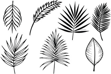 Palm Leaf Line Art Outline for Creative Nature Inspired Design  