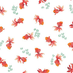 A popular Japanese goldfish that swims gracefully,