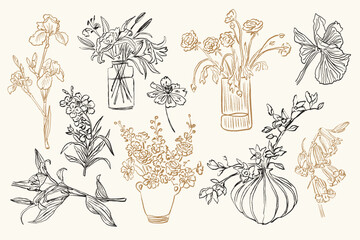 A sketch-style collection of vector flower and leaf illustrations.