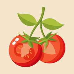 tomato vector illustration