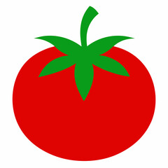 green tomato vector illustration