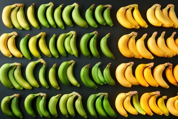 Fototapeta premium Bananas transitioning from green to yellow in a time lapse view Generative AI