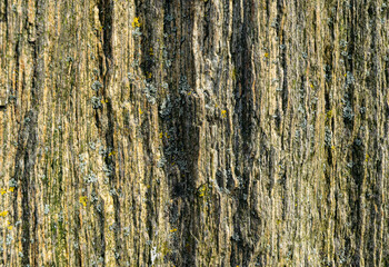 Obraz premium Rough texture of natural stone, grey granite rock