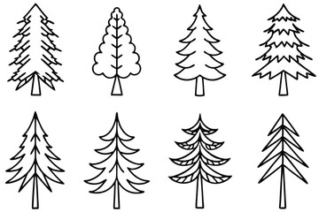 Pines Line Art Illustration Detailed Drawing for Nature Inspired Art  