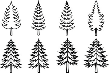 Fototapeta premium Pines Line Art Illustration Detailed Drawing for Nature Inspired Art 
