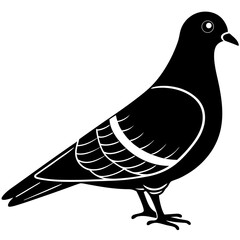 Pigeon Line Art Vector Black and White Drawing Illustration